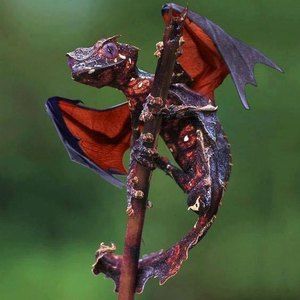 Meet your Posher, Christian